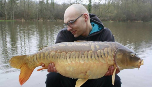 A carp from Brie, Apr 2016