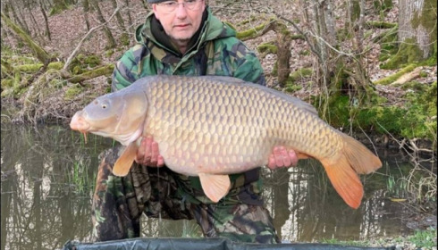A carp from Brie, Mar 2019