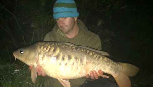 A carp from Brie, Jamie Starr, Sep 2017