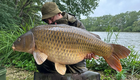 A carp from Brie, Aug 2023