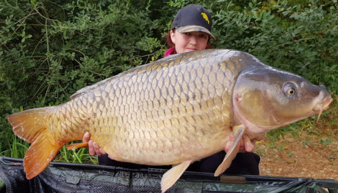 A carp from Brie, Cheryl, Aug 2020