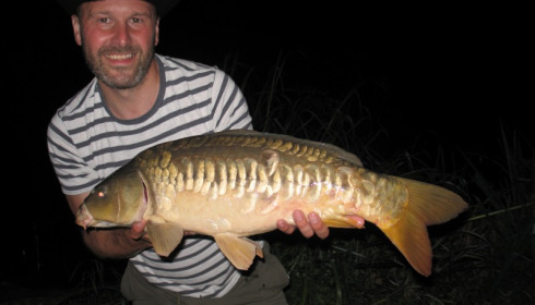 A carp from Brie, Nick Wilson, Aug 2016