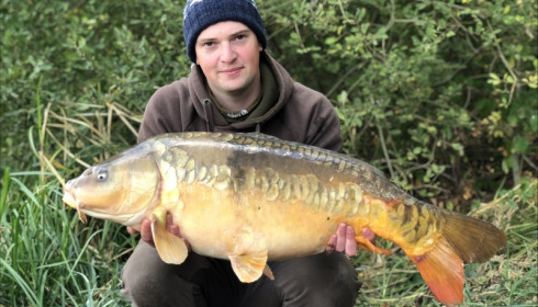 A carp from Brie, Neil Routledge, Sep 2018