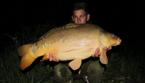 A carp from Brie, Apr 2014