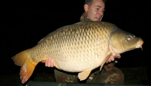 A carp from Brie, Mar 2017