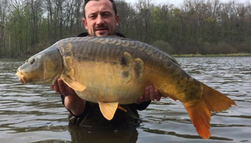 A carp from Brie, Apr 2017