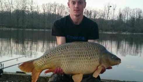 A carp from Brie, Mar 2016
