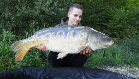 A carp from Brie, Aug 2017