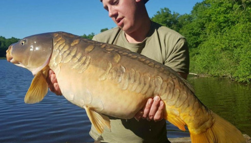 A carp from Brie, May 2018