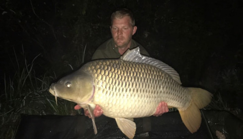 A carp from Brie, Tony Moore, Sep 2017