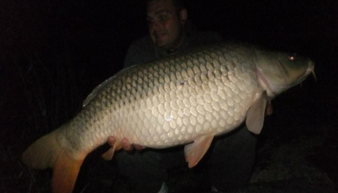 A carp from Brie, Aug 2014