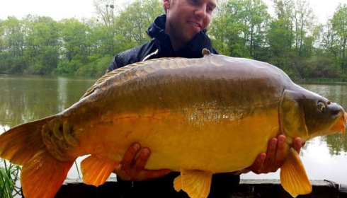 A carp from Brie, May 2015