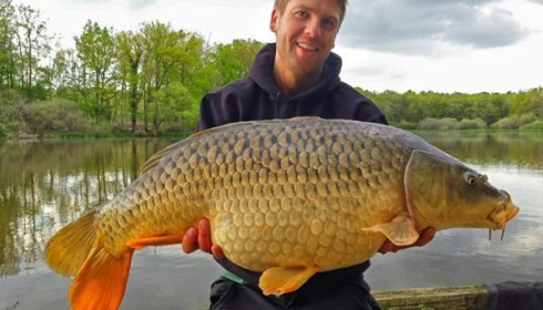 A carp from Brie, May 2015