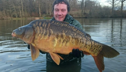 A carp from Brie, Jan 2016