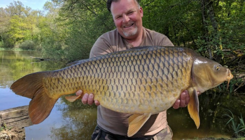 A carp from Brie, Apr 2018