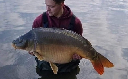 A carp from Brie, May 2023