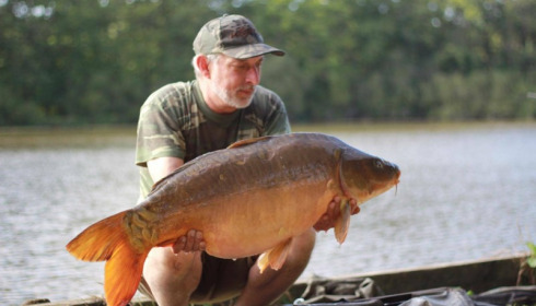 A carp from Brie, Sep 2017