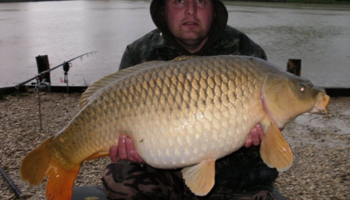 A carp from Brie, May 2014