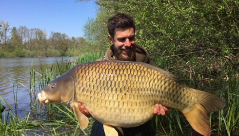 A carp from Brie, Apr 2017