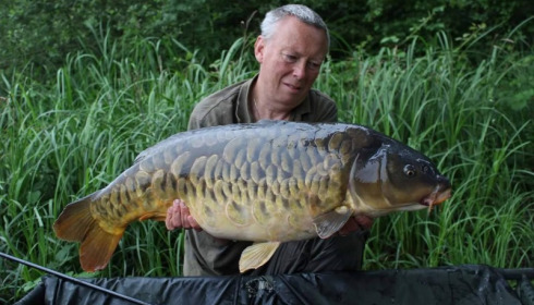 A carp from Brie, Keith Williams, Jun 2016