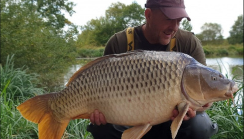 A carp from Brie, Sep 2019