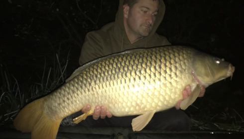 A carp from Brie, Jason Ellis, Sep 2017