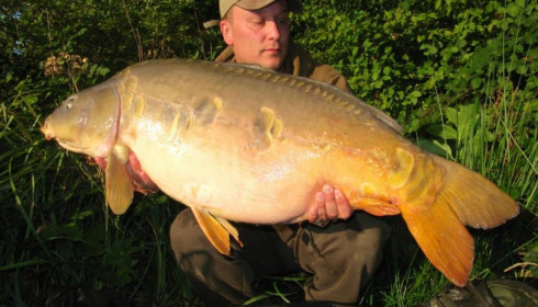 A carp from Brie, Sep 2014