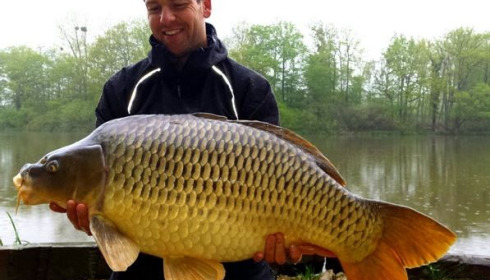 A carp from Brie, May 2015