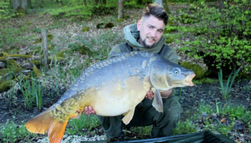 A carp from Brie, Apr 2014
