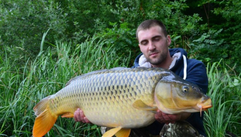 A carp from Brie, Jul 2014