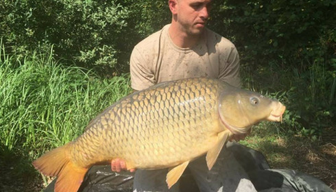 A carp from Brie, Jul 2017