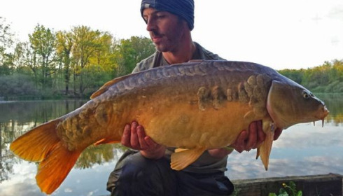 A carp from Brie, May 2015