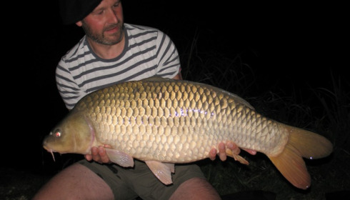 A carp from Brie, Nick Wilson, Aug 2016