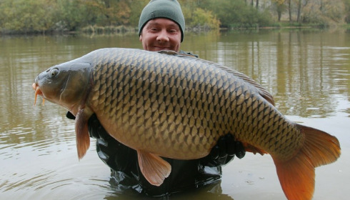 A carp from Brie, Nov 2016
