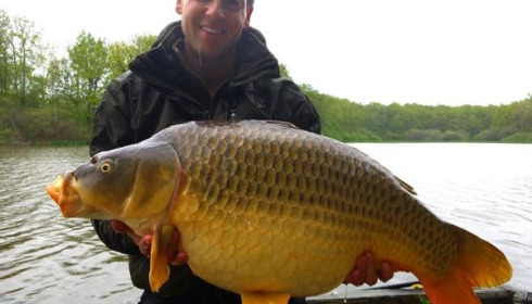 A carp from Brie, May 2015