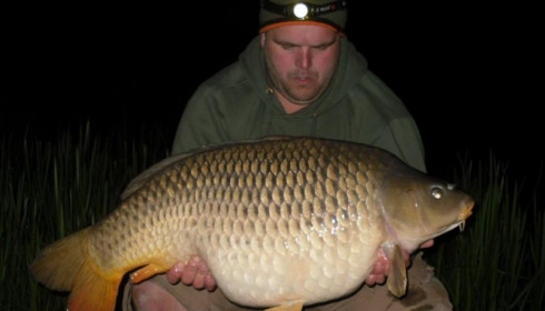A carp from Brie, May 2016