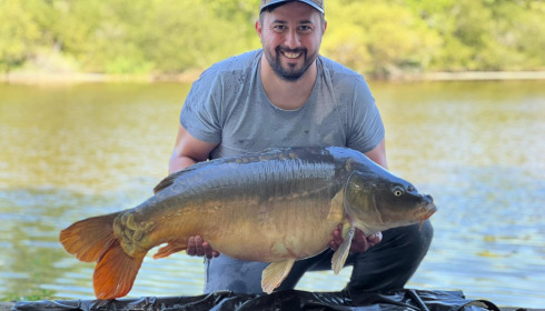 A fish from Brie, Aug 2022