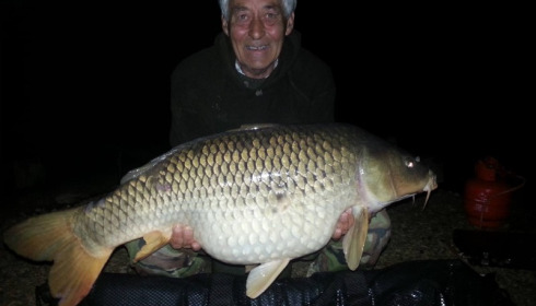 A carp from Brie, Shane Welch, May 2014