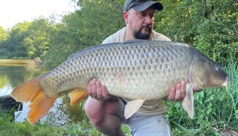 A carp from Brie, Aug 2022