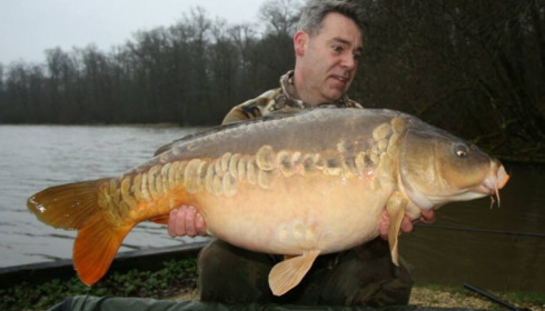 A carp from Brie, Mar 2017