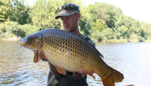 A carp from Brie, Oct 2014