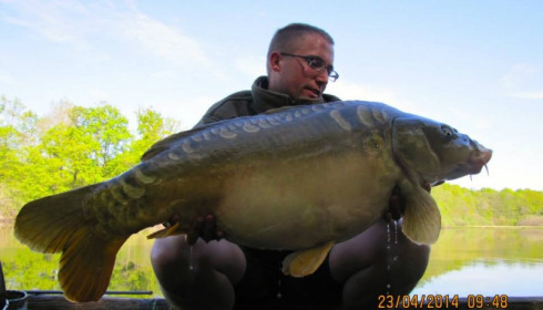 A carp from Brie, Apr 2014
