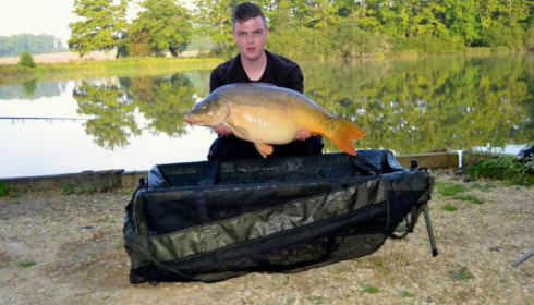 A carp from Brie, Sep 2014
