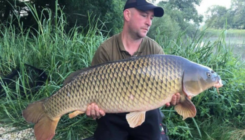 A carp from Brie, Jul 2017