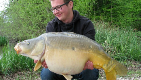 A carp from Brie, Apr 2014