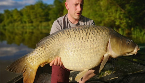 A 37 lb carp from Brie, Jamie Squires, May 2019