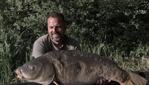 A carp from Brie, William Armstrong, Jul 2019