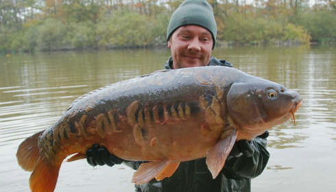 A carp from Brie, Nov 2016