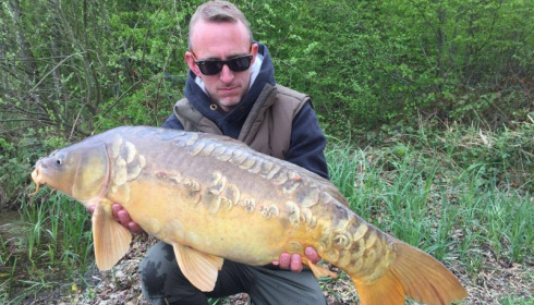 A carp from Brie, Apr 2017