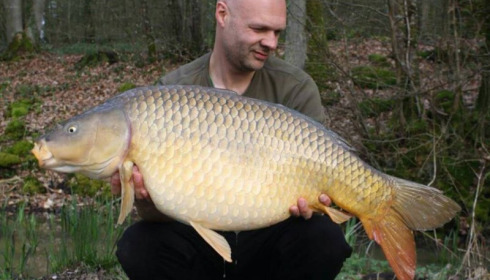 A carp from Brie, Apr 2016